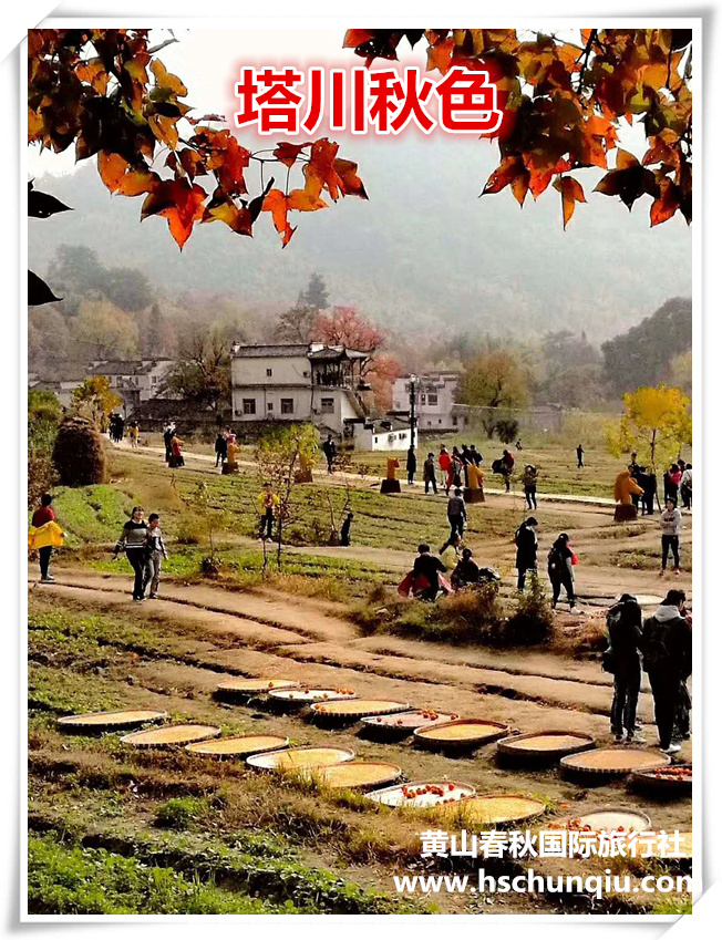 塔川秋色
