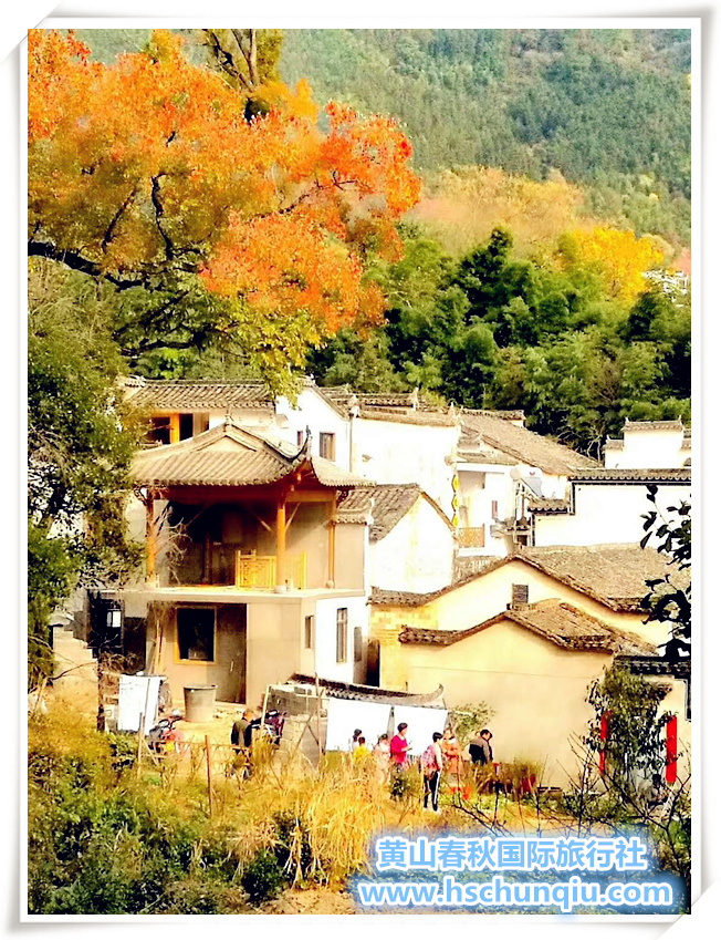 塔川秋色