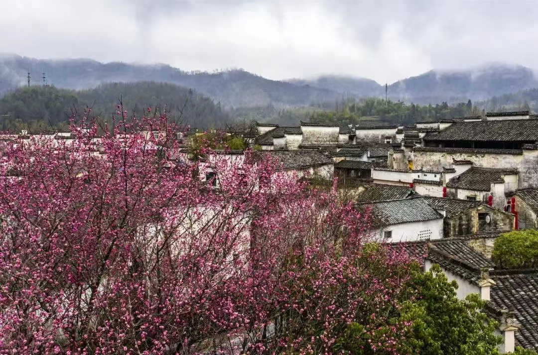 春光里的古村落