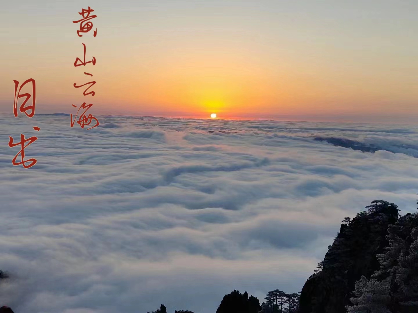 黄山云海日出