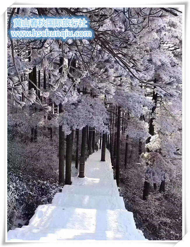 自驾车游黄山 泡温泉 赏民居冬雪之旅