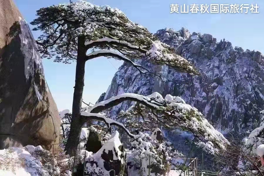 宏村+黄山+看日出+日落纯玩三日游（单团单议）
