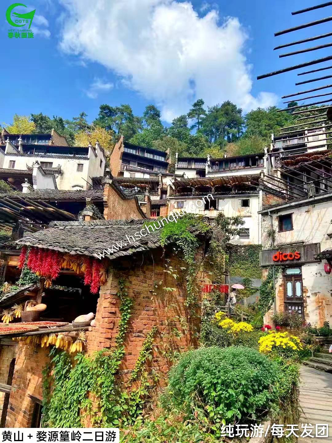 黄山+婺源篁岭两日游