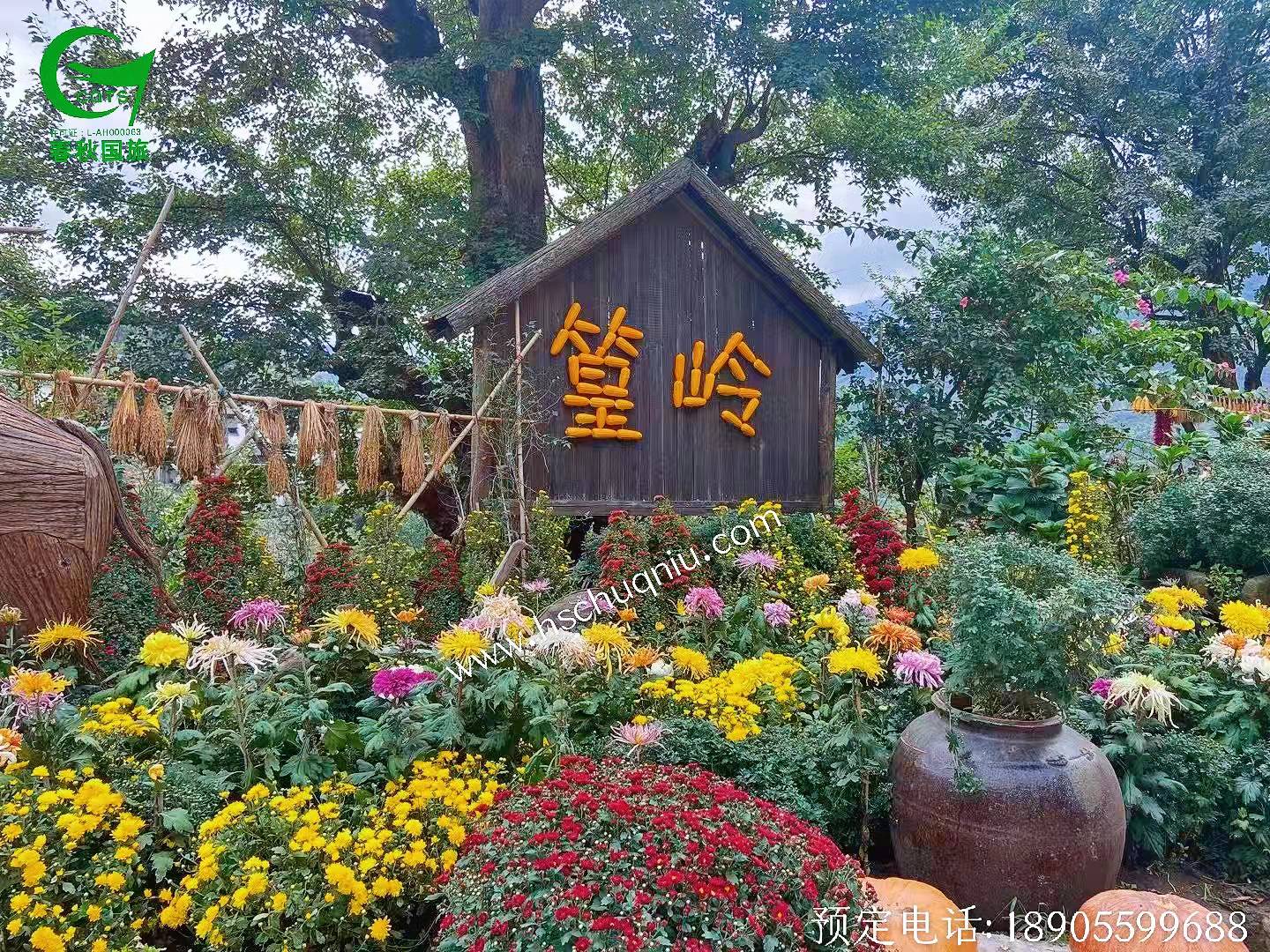 婺源篁岭三清山两日游